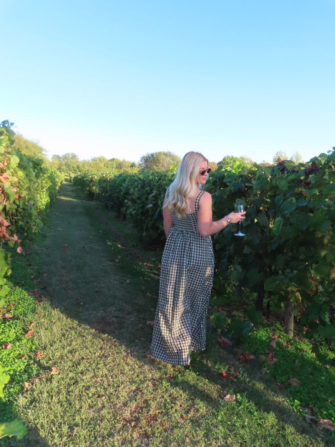 The Golden Pinot