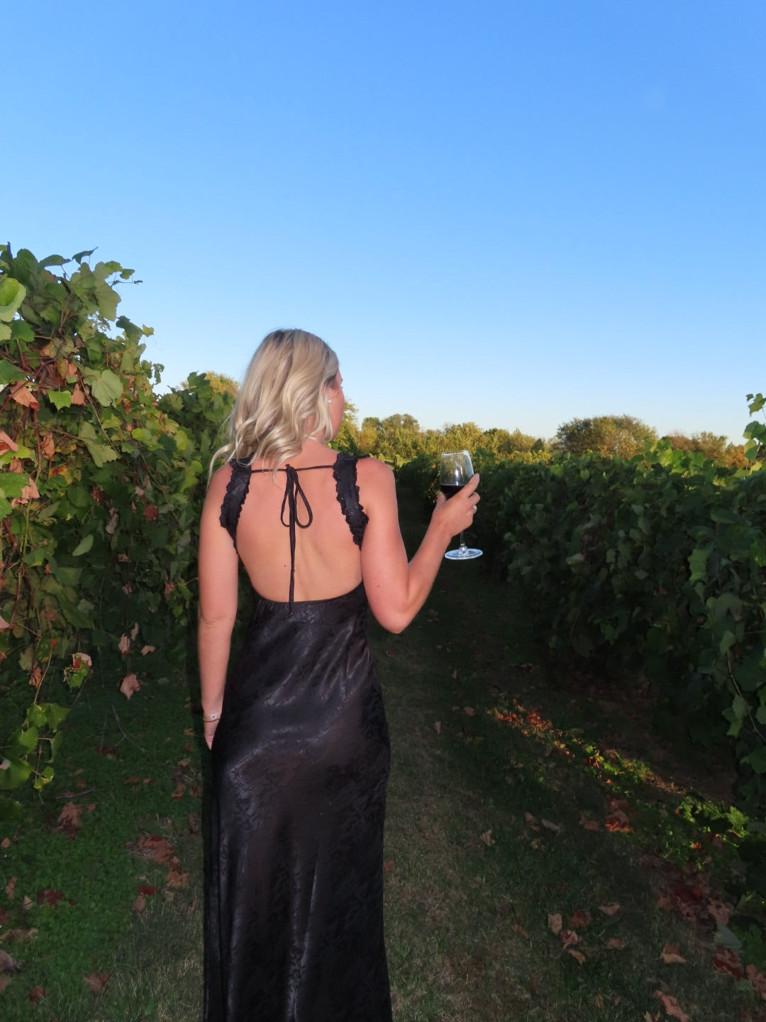 The Midnight Merlot