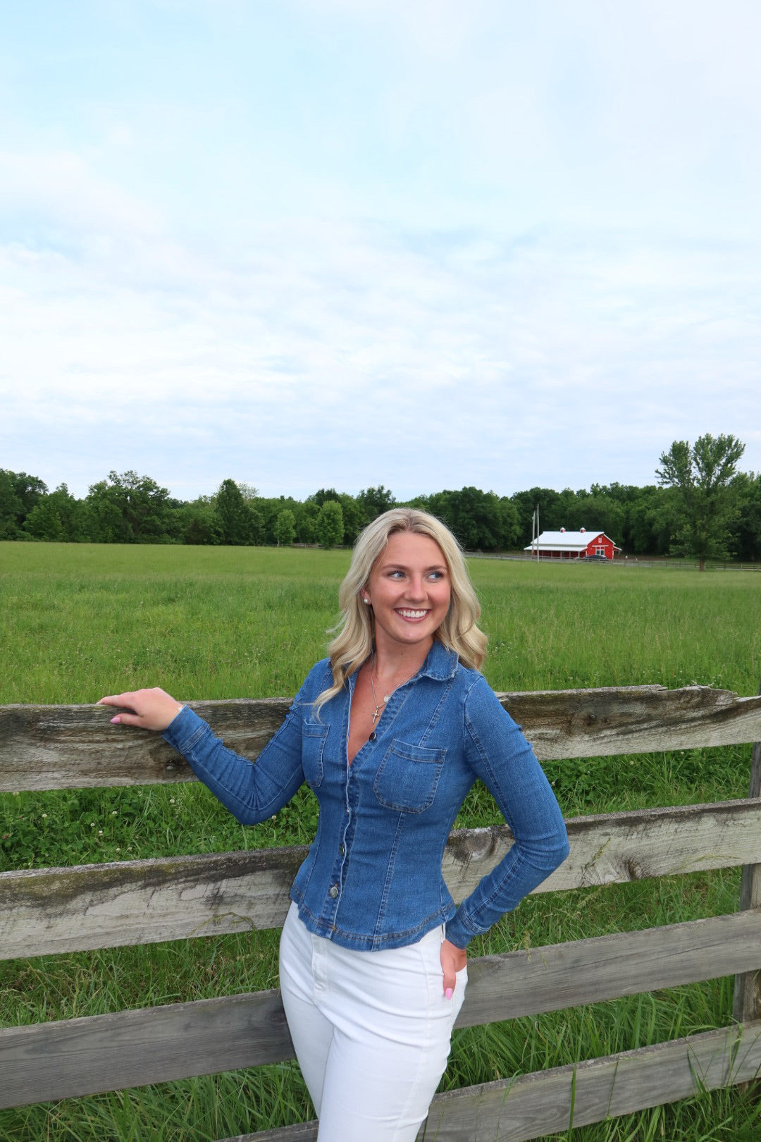 Langley Denim Top